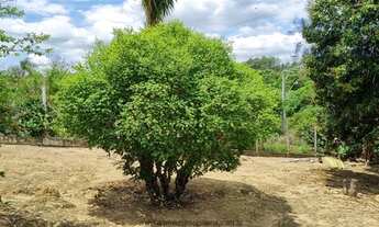 Imagem 6: Chácaras à venda em Atibaia/SP - Compre o seu chácaras aqui!