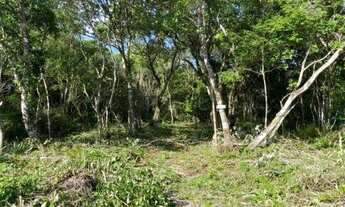 Imagem 3: Terreno em Peruibe, próximo ao mar, medindo 307m2