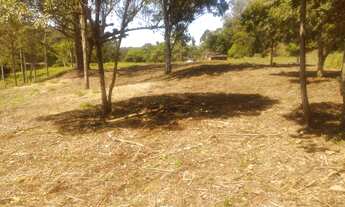 Imagem: Ótima Área Para Investidor