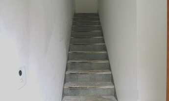 Imagem 3: ASSOBRADADO - IPIRANGA