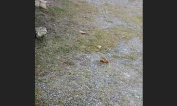 Imagem 7: Terreno com casa na Av. Cirino Antonio Cabral - Centro de Itajuba