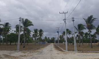 Imagem 6: Loteamento Parque Dos Coqueiros Pronto Para Construir Em Paracuru. n°:Quando você diz &quo