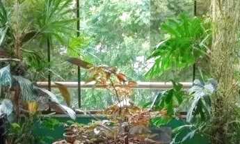 Imagem 5: Apartamento com 1 dormitório para alugar, 40 m² por R$ 2.140/mês - Cidade Baixa - Porto Al