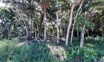 Imagem 3: Terreno Mariscal T02