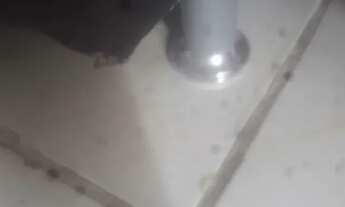 Imagem 3: Linda cama de solteiro