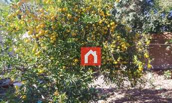 Imagem 3: Terreno à venda, 699 m² por R$ 1.000.000 - Senai - Santa Cruz do Sul/RS