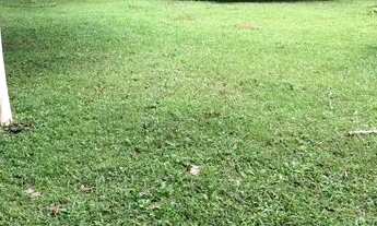 Imagem 4: Sitio Plano, com Casa e Comércio à venda,por R$ 1.490.000,00- Embu-Guaçu/SP