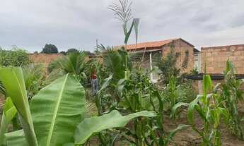 Imagem 5: Sítio Chácara com venda por R$60.000