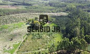 Imagem 2: Sítio com 7,9h, cabana, casa e piscina em Triunfo