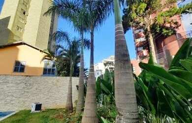 Imagem 6: APARTAMENTO RESIDENCIAL em Belo Horizonte - MG, São Pedro