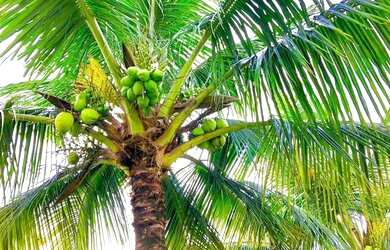 Imagem 7: VENDO CASA POR MENOS DA METADE DO PREÇO