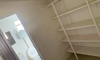 Imagem 4: Vale das videiras - coqueiros