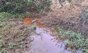 Imagem 2: Sítio a venda em Limeira SP