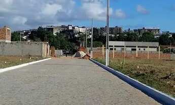Imagem: Vendo OU alugo) lote / terreno /galpão