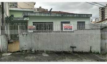 Imagem: Terrea - Vila Floresta - Santo Andre - Sao