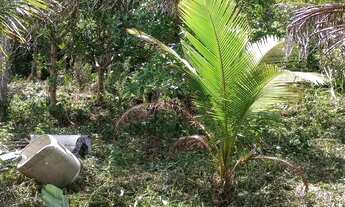 Imagem 2: Vendo Chácara com venda por R$40.000