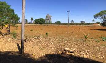 Imagem 2: Fazenda a 40 km de Palmas monte do Carmo 33 hectares
