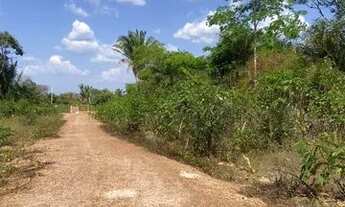 Imagem 2: Vendo 1 Hectare em Altos