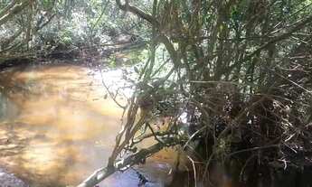 Imagem 4: IBIÚNA - Chácara - Curral