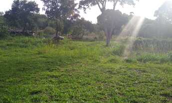 Imagem 3: Propriedade espetacular, com Rio perene, casa de caseiro, água abundante, um paraíso!!