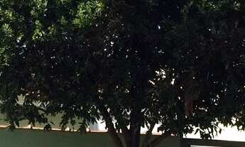 Imagem: Casas à venda 3 quartos 1 suíte 1 vaga