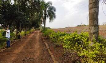 Imagem 2: Arrenda-se sítio em Bernardino De Campos com 7,197492 hectares, ROD. Raposo Tavares
