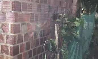 Imagem 3: Casa Casa com 1 dormitório