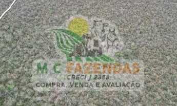 Imagem 4: Fazenda à Venda em Ribeira do Amparo - BA