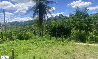 Imagem: FAZENDA RURAL em SANTO AMARO - BA, Zona