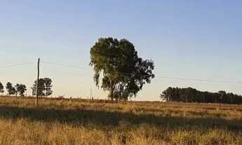 Imagem 3: Vendo ótimo sítio no pipiripau em Planaltina DF
