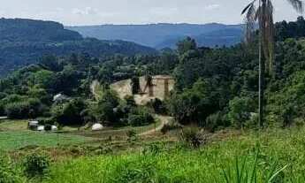 Imagem 4: Área de terra bairro Canelinha, Picada Café.RS REF: 459