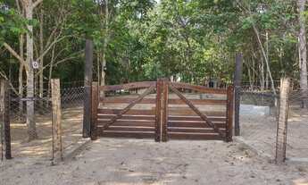 Imagem: Chácara Terra Mãe