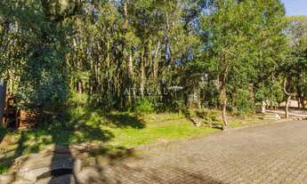 Imagem 2: PINHEIRO GROSSO Terreno / lote com venda por R$615.000