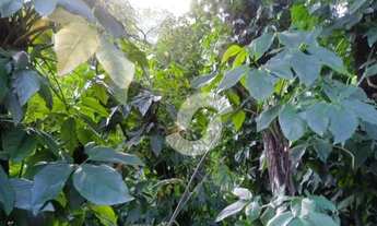 Imagem 2: Terreno à venda, 765 m² por R$ 300.000,00 - Engenho do Mato - Niterói/RJ