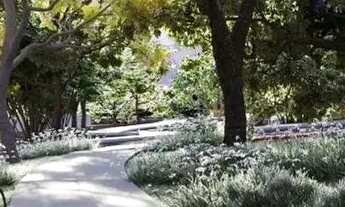 Imagem 7: Lote em Jardins Versalhes, Aparecida de Goiânia-GO