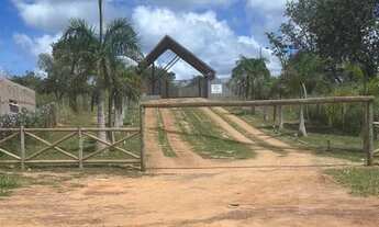 Imagem 4: Chacara 2mil metros proximo clube pentaurea