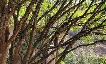 Imagem: NOVIDADE NATAL E RÉVEILLON ideal p famílias