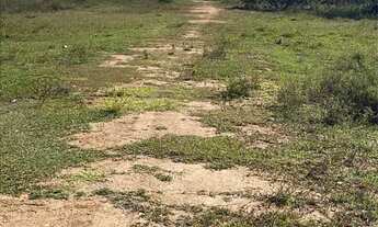 Imagem: Terreno Povoado Angelin