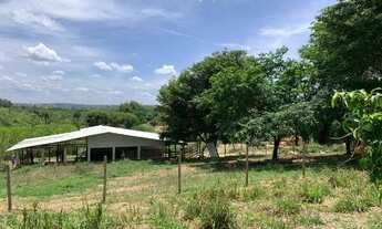 Imagem 4: Fazenda 47ha, 2 casas sede/caseiro plantação de mogno, mangaPalmer,nascente e córrego