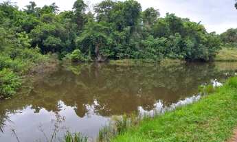 Imagem 2: Excelente oportunidade, chácara de recreio