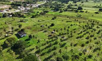 Imagem 7: Fazenda com 50 hectares na região de São Gonçalo do Amarante cortada pelo rio Potengi