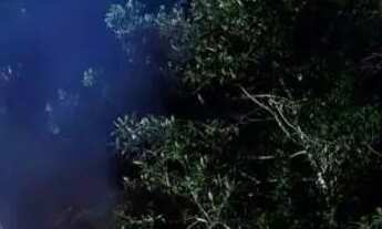 Imagem 3: Sítio fácil acesso