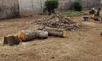 Imagem 2: TERRENO IMÓVEL RESIDENCIAL OU COMERCIAL EM PALMEIRA DOS ÍNDIOS