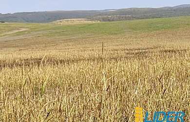 Imagem: Excepcional fazenda dupla aptidão com 3.529