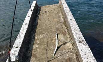 Imagem: TEMPORADA CASA GRANDE NA COSTEIRA COM BELA