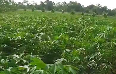 Imagem 6: Terreno com casa