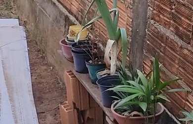 Imagem 4: Vendo casa barata ( 37 mil