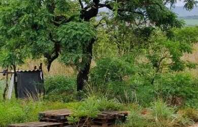 Imagem 5: Ágio de chácara em Unaí