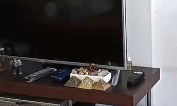 Imagem 3: EXCELENTE APARTAMENTO NO BAIRRO PALMEIRAS