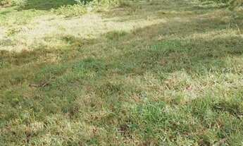 Imagem 3: Mini Chácara Rural